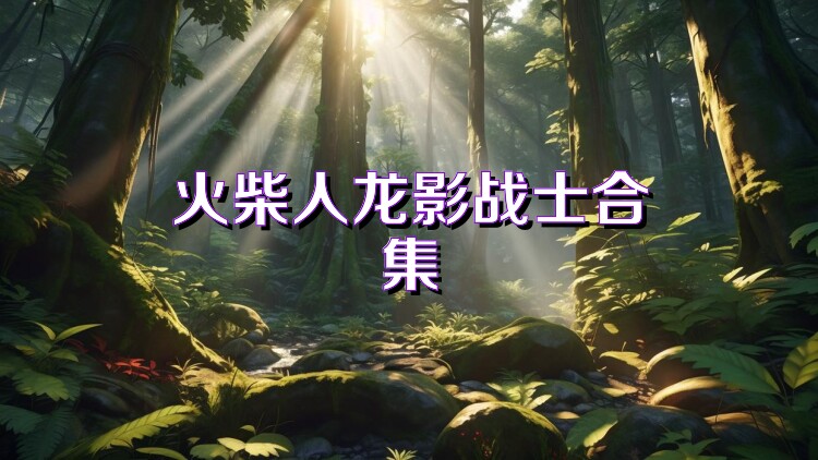 火柴人龙影战士合集