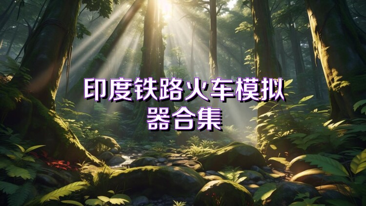 印度铁路火车模拟器合集