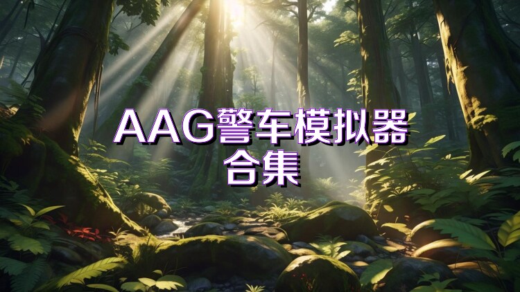 AAG警车模拟器合集