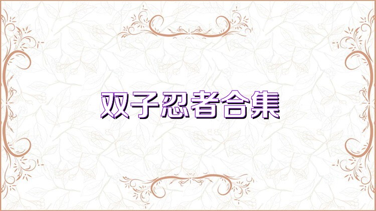 双子忍者合集
