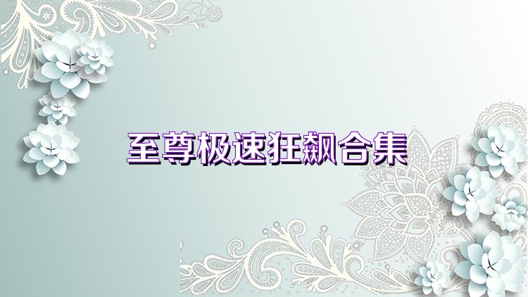 至尊极速狂飙合集