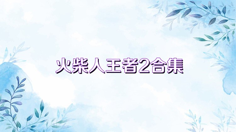 火柴人王者2合集