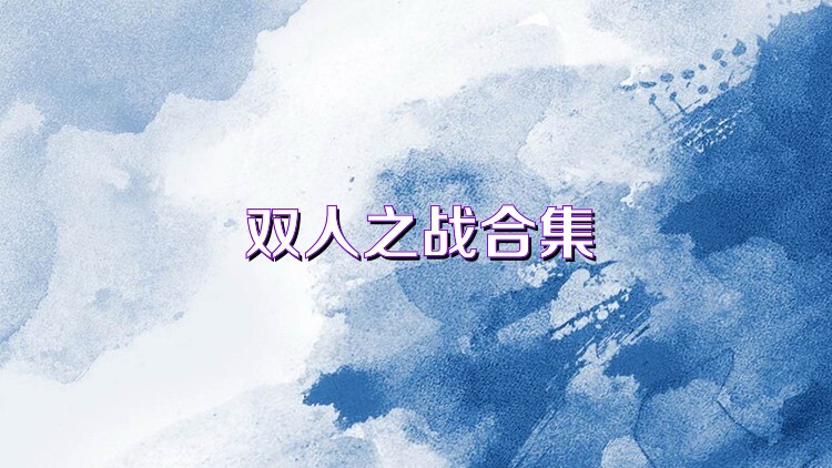 双人之战合集