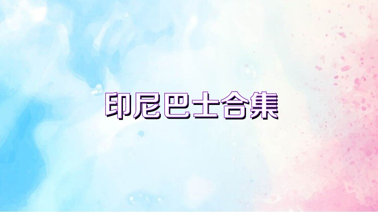 印尼巴士合集