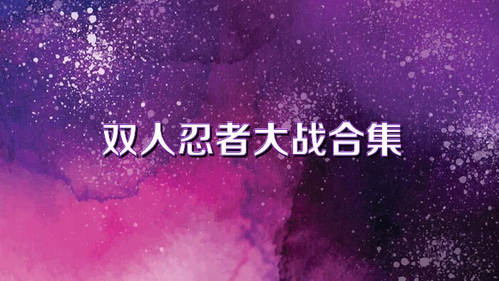 双人忍者大战合集