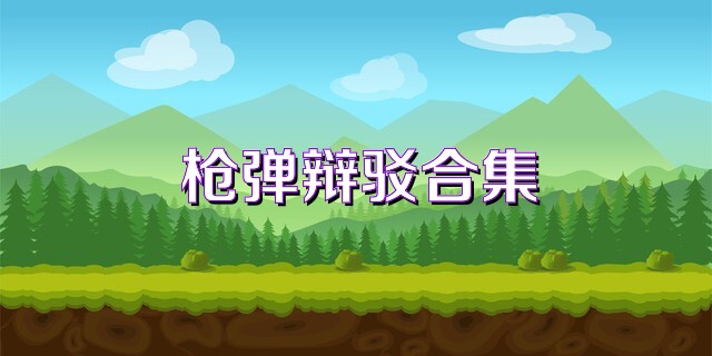 枪弹辩驳合集