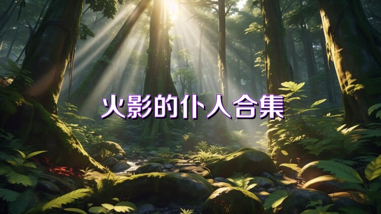 火影的仆人合集