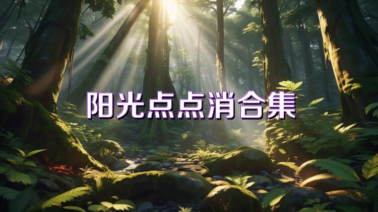 阳光点点消合集
