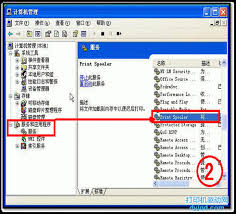 解决打印机驱动已安装但无法打印的问题，常见原因及处理方法