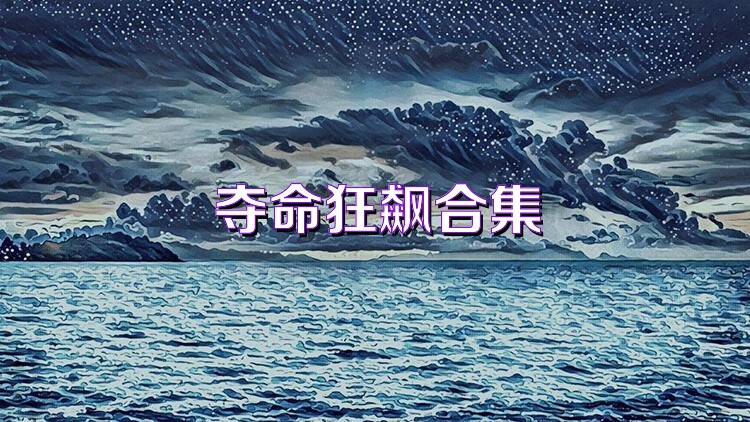 夺命狂飙合集
