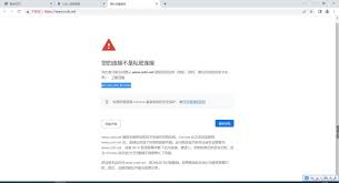 如何解决谷歌浏览器提示“您的链接不是私密连接”问题