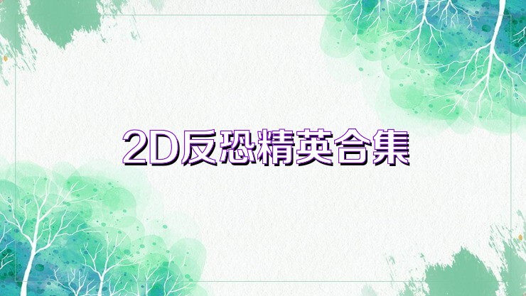 2D反恐精英合集