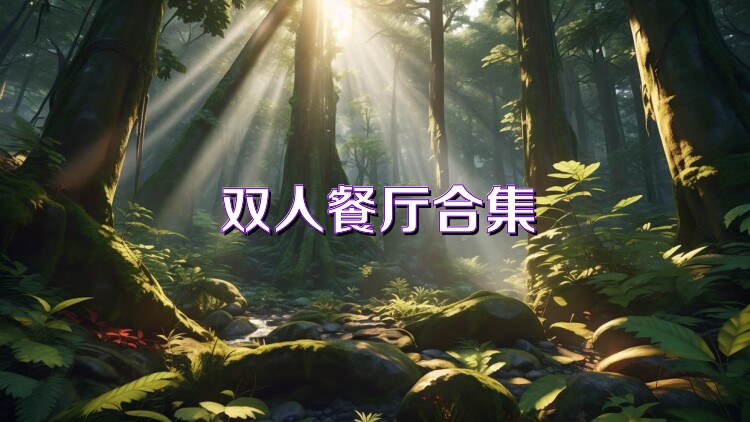 双人餐厅合集