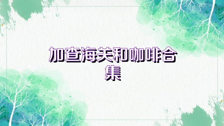 加查海关和咖啡合集