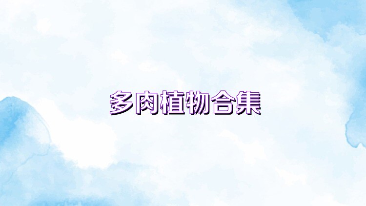 多肉植物合集
