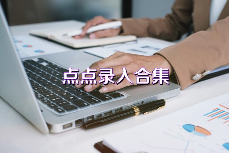 点点录入合集