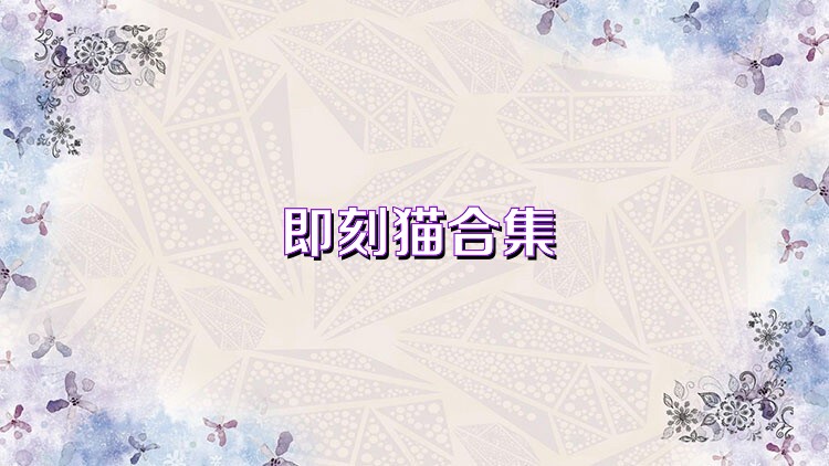 即刻猫合集