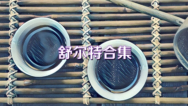 舒尔特合集