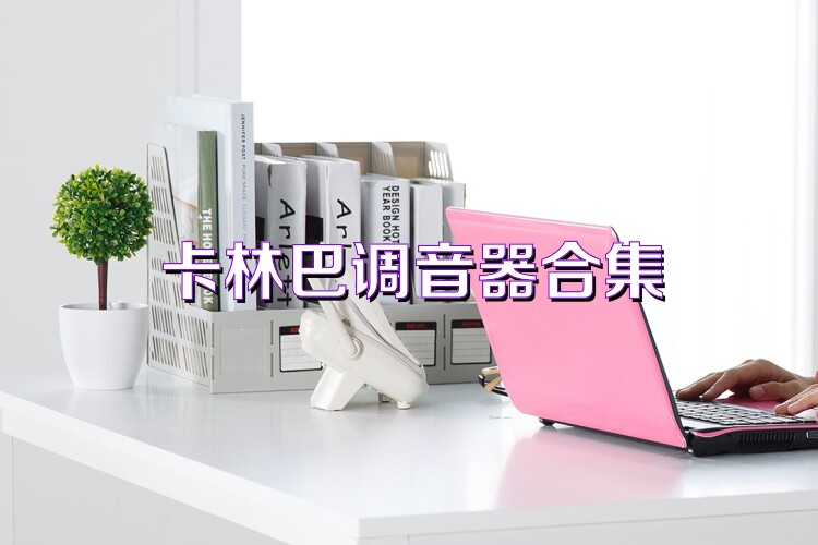 卡林巴调音器合集