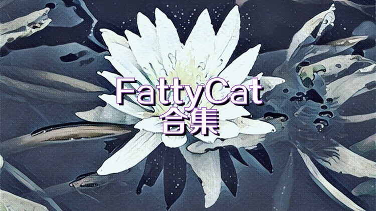 FattyCat合集