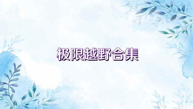 极限越野合集
