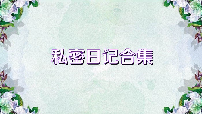 私密日记合集