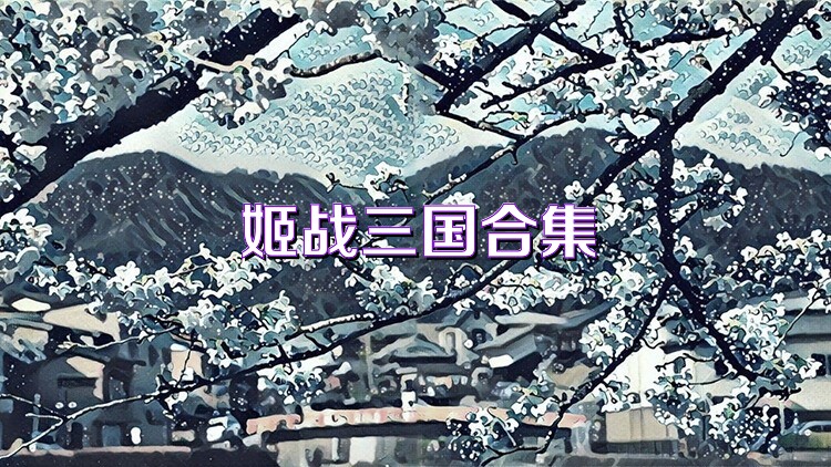 姬战三国合集