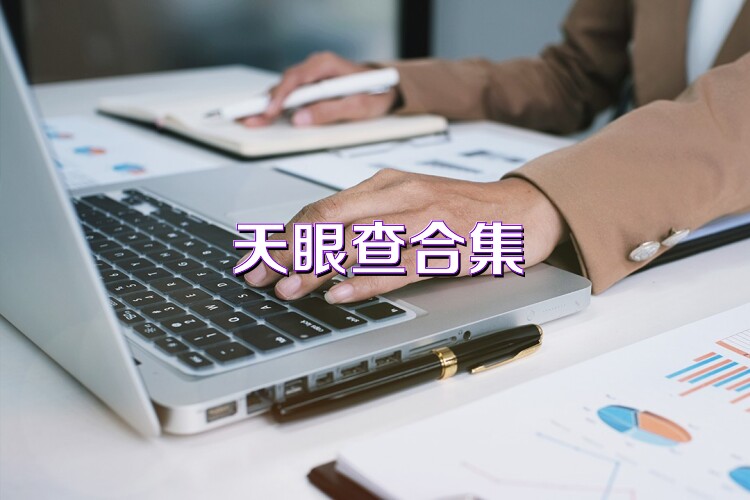 天眼查合集