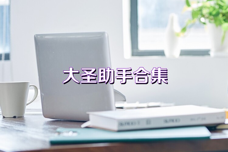 大圣助手合集