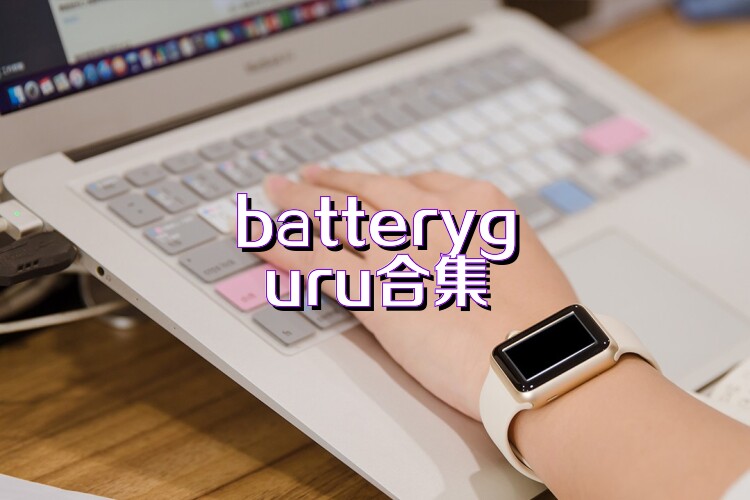 batteryguru合集