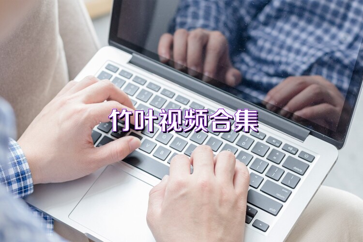 竹叶视频合集