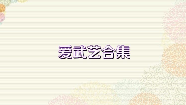 爱武艺合集
