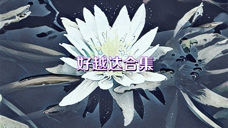 好越达合集