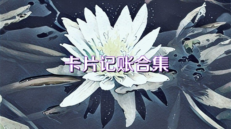 卡片记账合集