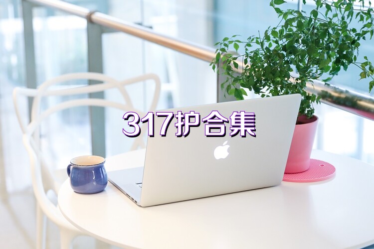 317护合集